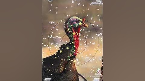 CVA Scout 410, Indian Creek .390 Choke & Apex Ninja Ammo Pattern Test