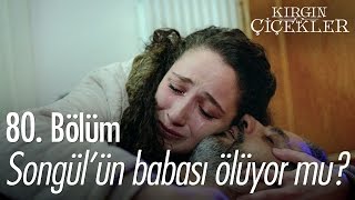 Songül'ün babası ölüyor mu? - Kırgın Çiçekler 80. Bölüm - atv