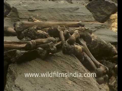 Rus havaskor porno videolar onlayn joylashtirilgan