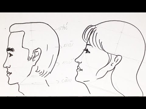 Cách Vẽ Chân Dung, Tỷ Lệ Khuôn Mặt Người Nghiêng 1/2 - Youtube