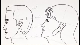 Cách Vẽ Chân Dung, Tỷ Lệ Khuôn Mặt Người Nghiêng 1/2 - Youtube
