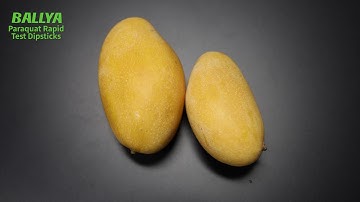 Paraquat Test - Detection of Paraquat in Mango - BALLYA