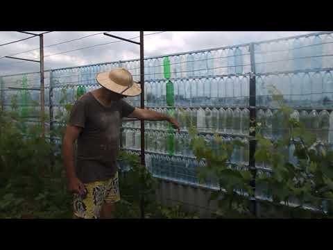 Забор из ПЭТ бутылок для дачи...