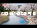 여주 금사저수지의 봄 ( 벚꽃 드라이브 , 힐링장소 ) 4K 드론영상