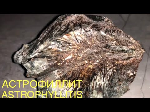 Astrophyllitis. Астрофиллит минерал. Россия.