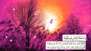 وما جعلنا لبشر من قبلك الخلد  HD تلاوة رنانة في القلب 💗  الشيخ ياسر الدوسري