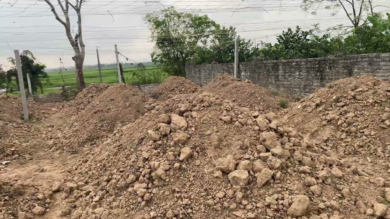 ngày 2 tháng 3, 2026