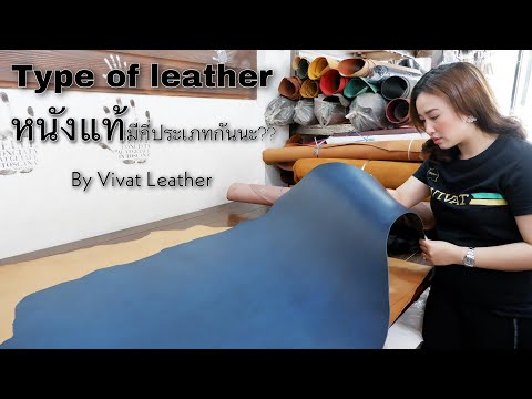 เรื่องของหนังแท้ with Vivat Leather | EP. 01 : Type of leather หนังมีกี่ประเภทกันนะ ?