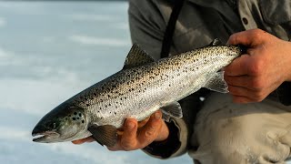 Epic Ice Fishing Trip for SALMON AND TROUT (We Camped on the ice!)