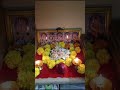 #happydiwali #diwali2024 #laxmipuja #viralshort #trendingshorts #diwali #evening #puja