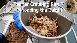 Tanner Crab Season Pt.7  Offloading Crab Catch and Hoisting Gear