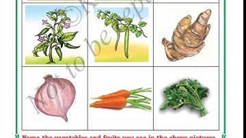 We are for you class 2 EVS full lesson explanation and textbook activities/Karnataka state syllabus