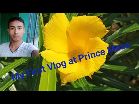 Study vlog for neet aspire