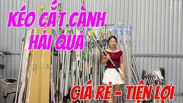 Kéo cắt cành & ghim giữ hoa quả trên cao siêu tiện lợi và an toàn khi sử dụng kéo cắt cành trên cao 