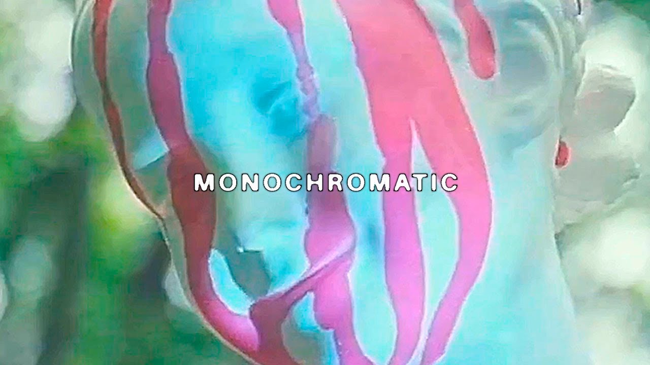 $UICIDEBOY$ - Monochromatic