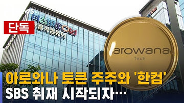 [단독] 박물관 부관장이 최대 주주…측근 지적에 "사직" / SBS