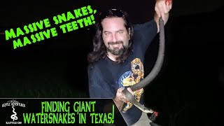 FINDING GIANT WATER SNAKES IN TEXAS!
