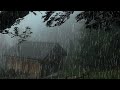 Rain and Thunder Sounds For Sleeping in 3 Minutes -99% Instantly Fall Asleep With Torrential Rain#15