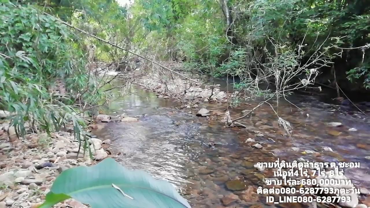 ขายที่ดินสวนผสมติดลำ​ธาร​ วิว​เขา​ล้อมรอบ​ ต.ชะอม​