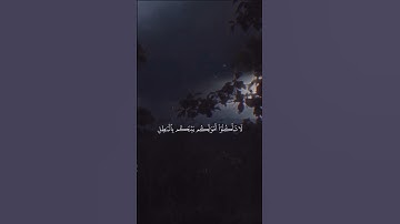 ﴿ وَاللَّهُ يُرِيدُ أَن يَتُوبَ عَلَيْكُمْۖ ﴾ سورة النساء بصوت القارئ محمد اللحيدان 😌🤍