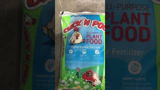 Best Organic Garden Fertilizer IMHO Buying Pelletized Chicken Manure Garden Fertilizer 2-4-3
