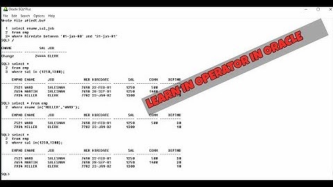 In operator in Oracle Database Hindi/Urdu