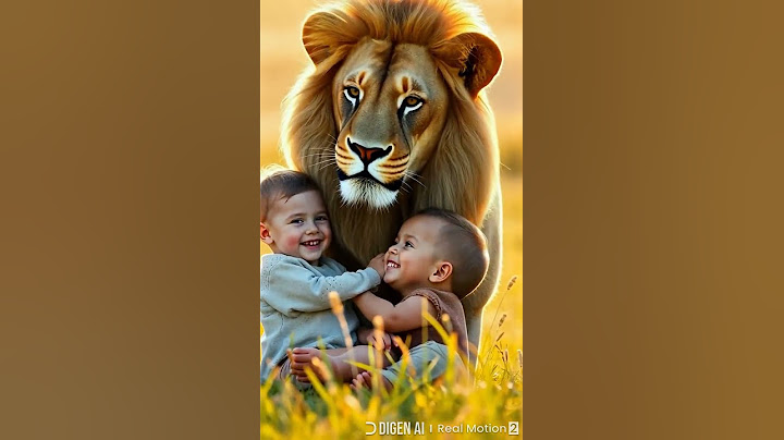 babies play with lion