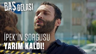 Şahinin Kıskançlığı Had Safhada - Baş Belası 12. Bölüm