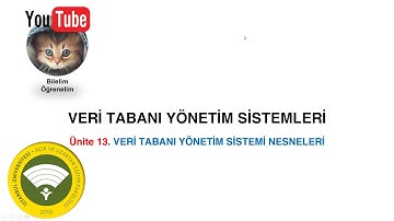 VERİ TABANI YÖNETİM SİSTEMLERİ, ÜNİTE 13 VERİ TABANI YÖNETİM SİSTEMİ NESNELERİ