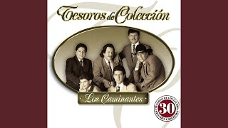 Video thumbnail of "Los Caminantes - No Aprendo a Olvidar"