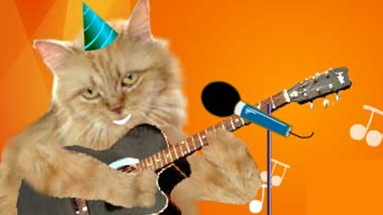 Cute Cat Singing Happy Birthday Song