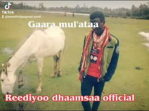 Gaara Mul Ataa By Psychologists Oliiqaa Lammiif