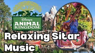 Sitar Music in Disney's Animal Kingdom | Walt Disney World | Music & Entertainment | MagicalDnA