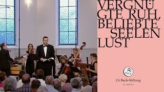 Download Lagu J.S. Bach - Aria \ MP3 Download Lagu J.S. Bach - Aria \ MP3