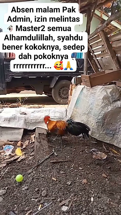 selamat malam master #shorts