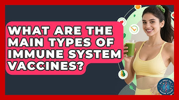 What Are The Main Types Of Immune System Vaccines? - All About the Immune System