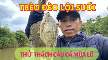 Thử thách câu cá mùa nước lũ và cái kết | Quảng Nôm vlog