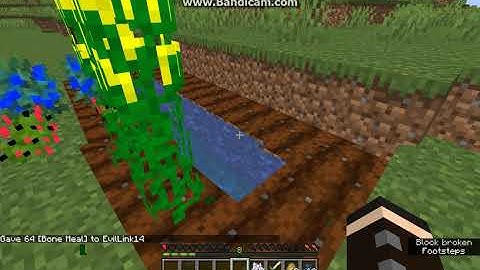 More Progression 1.14.4 Forge Mod Overview Part 2 - Food & Decor Blocks