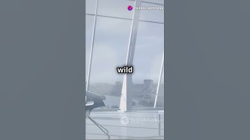 AI just took over your morning routine!