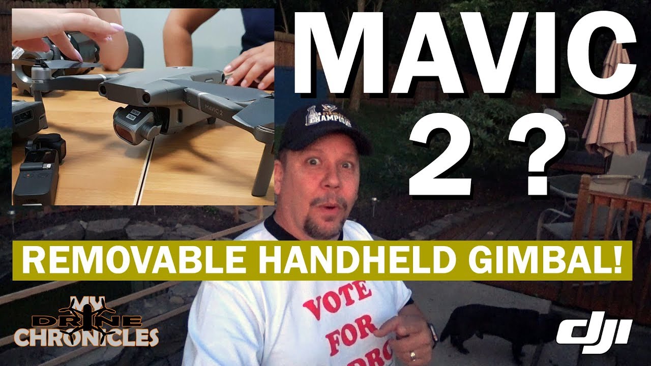 mavic 2 handheld gimbal