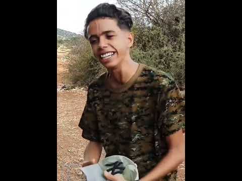 يا مالي عليا انظري حمزة العروية ليبيا تونس مصر الجزائر المغرب حمزة العروية هشام عزب