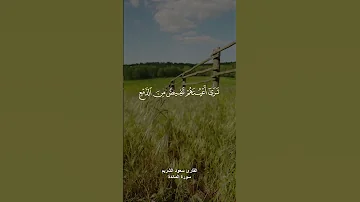 واذا سمعوا ما انزل الى الرسول ترى اعينهم القارئ سعود الشريم 