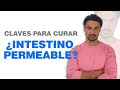 ✅ ¿Cómo curar EL SÍNDROME DE PERMEABILIDAD INTESTINAL?