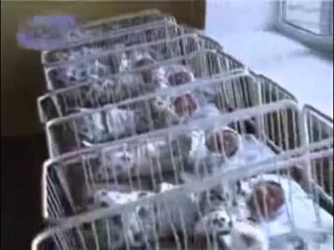 10 ტყუპი დაიბადა