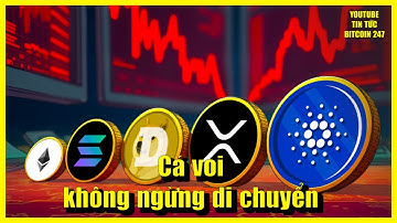 Các cá voi XRP không ngừng di chuyển, diễn biến quan trọng của Solana và Cardano