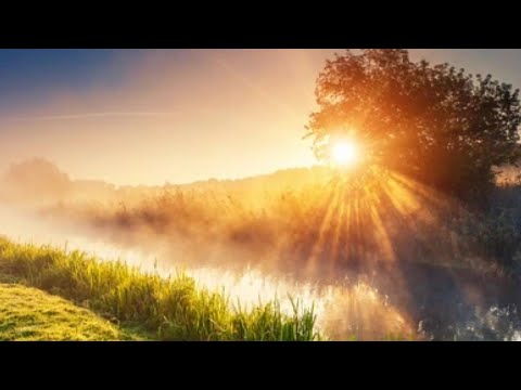 Very nice full HD WhatsApp status nature video || Nature love