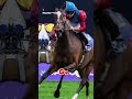 The horses to watch at Ascot Champions day!