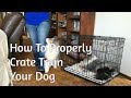 How to properly crate train your dog How to properly crate train your dog