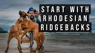 My Morning Run with Rhodesian Ridgebacks