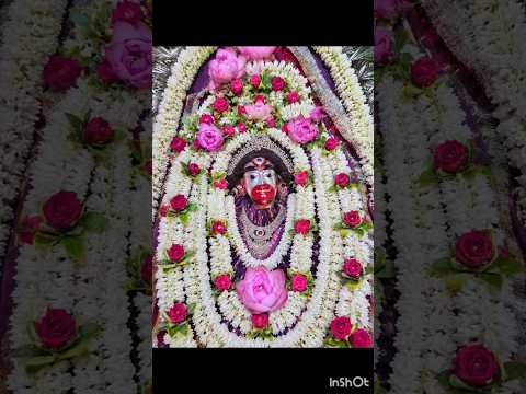 jai ma Tara # #love # #shortsvideo #youtubeshorts #🙏🏻🌺🩷